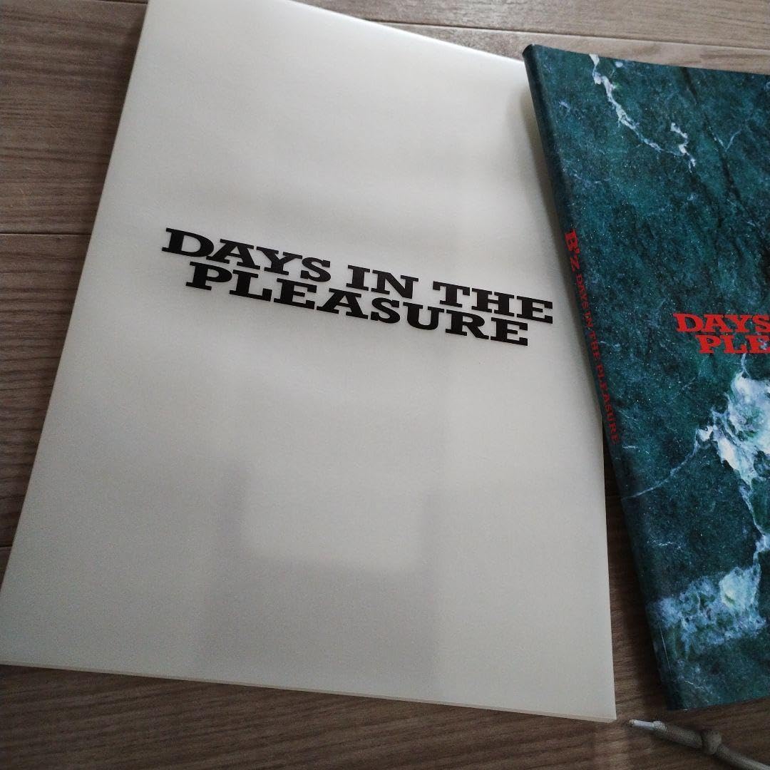 B'z LIVE GYM Pleasure'91 ペンダント 激レア B'z LIVE GYM Pleasure'91 ペンダント 激レア B'z LIVE GYM Pleasure